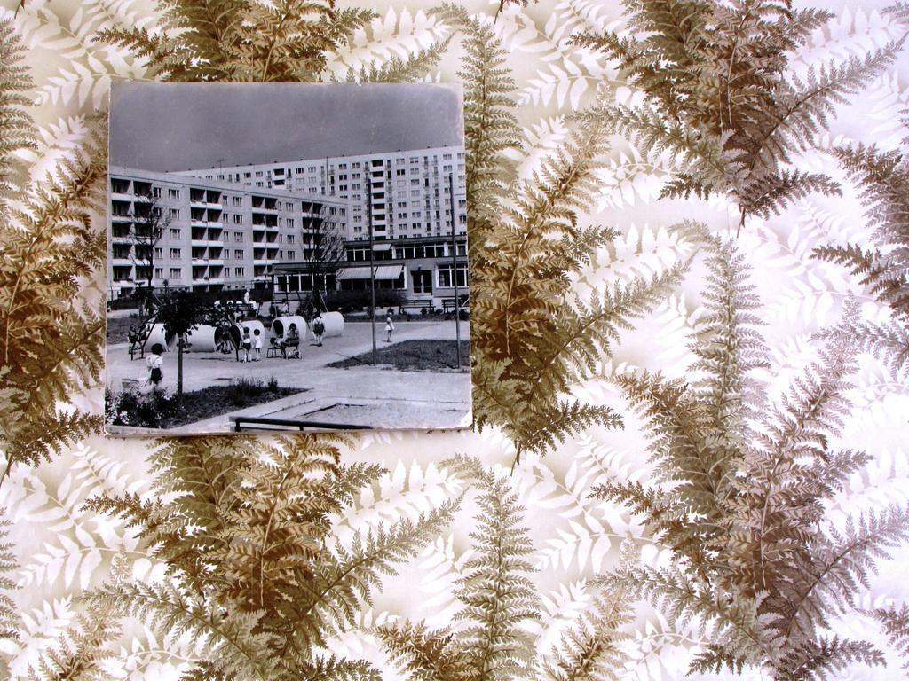 Ostel - Ddr Vandrerhjem
